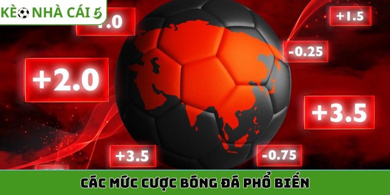 Các mức cược bóng đá phổ biến