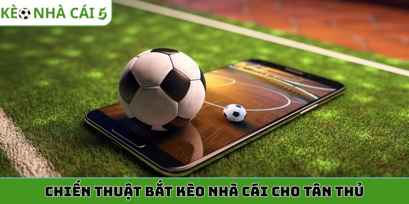 Chiến thuật bắt kèo nhà cái cho tân thủ